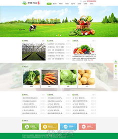 南昌企業(yè)建站需要多少錢 南昌企業(yè)制作做個(gè)網(wǎng)站要多 南昌網(wǎng)站制作