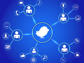 企業網站建設的作用